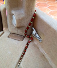 Lampropeltis gentilis