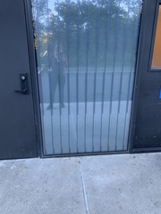 Leiothlypis ruficapilla