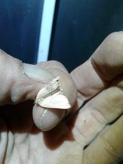 Pachycnemia tibiaria