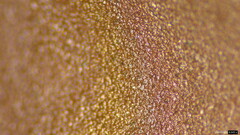 Phaeotremella fimbriata