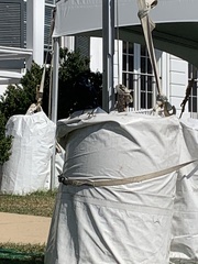 Corvus brachyrhynchos