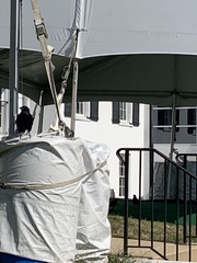 Corvus brachyrhynchos