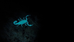 Vaejovis carolinianus