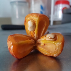 Trigonachras