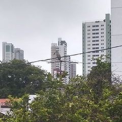 Rupornis magnirostris