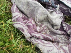 Crotalus triseriatus