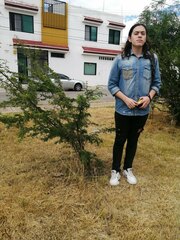 Vachellia farnesiana