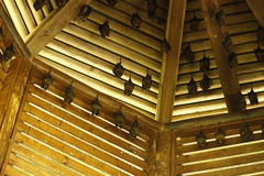 Hipposideros armiger terasensis