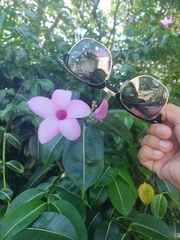 Cryptostegia
