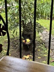 Ramphocelus passerinii