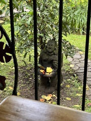 Ramphocelus passerinii