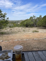 Yucca rupicola