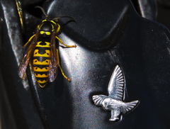 Vespula atropilosa