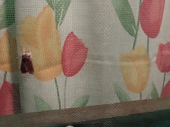 Acronyctodes mexicanaria