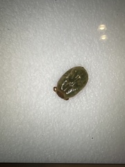Ixodidae