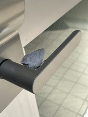 Curetis acuta paracuta