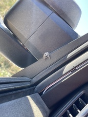 Phidippus otiosus