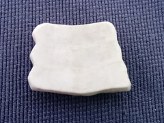 Sphaerechinus granularis