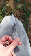 Streptopelia decaocto