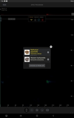 Pipistrellus nathusii