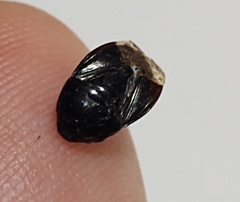 Pangaeus
