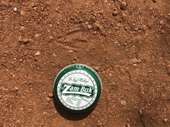 Raphicerus campestris