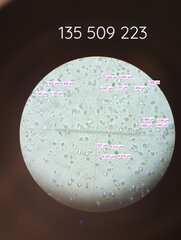 Tricholomopsis rutilans