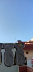 Epocilla