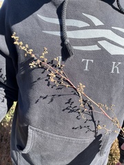 Artemisia campestris