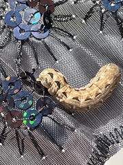 Spodoptera latifascia