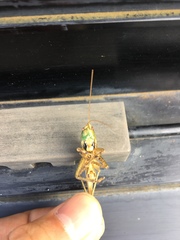 Palaeoagraecia lutea