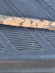 Aleurodiscus grantii