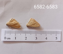 Scopula irrorata