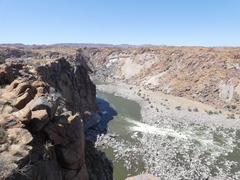 Boscia foetida foetida