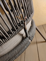 Sphodromantis viridis