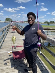 Morone mississippiensis