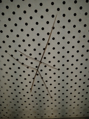 Phasmatinae