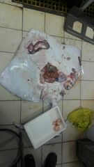 Bathyraja brachyurops