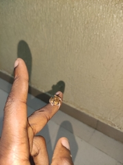 Arthroleptis poecilonotus