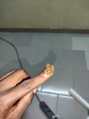 Arthroleptis poecilonotus