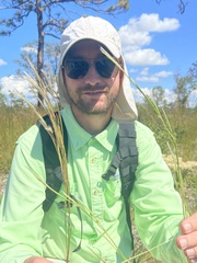 Andropogon floridanus