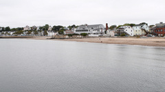 Myoxocephalus aenaeus