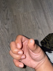 Porcellionides pruinosus