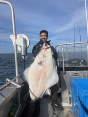 Hippoglossus stenolepis