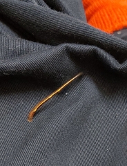 Chtonobdella limbata