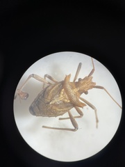 (c) connie_leda, some rights reserved (CC BY-NC)