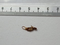 Chelidurella