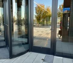 Zonotrichia albicollis