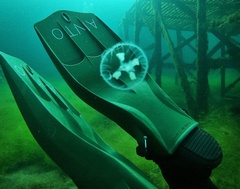 Craspedacusta sowerbii