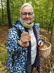 Xerocomellus chrysenteron